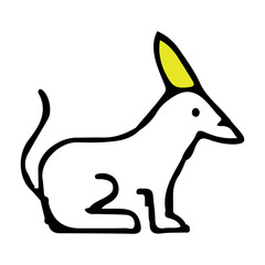 black and white rabbit