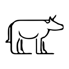 Cow  animal