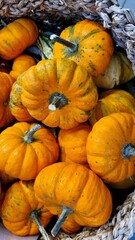 
Halloween themed home decor, small orange pumpkins in a natural basket, close-up.