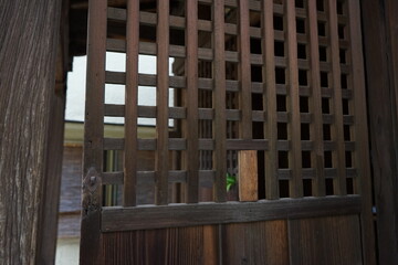 新撰組　試衛館稲荷神社