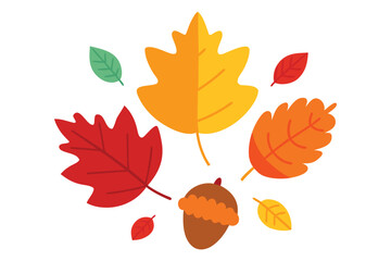 Colorful Autumn Leaves and Acorn Illustration on White Background for Fall Designs