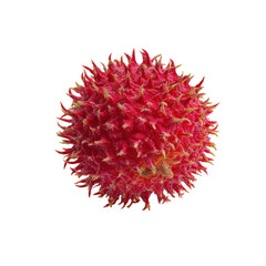 Single Rambutan Fruit Isolated on White Background
