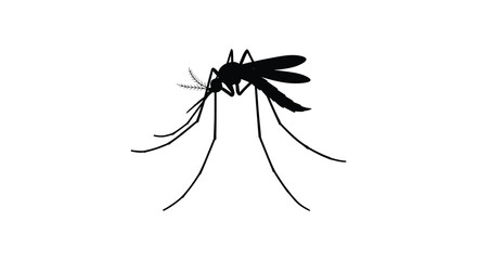 A detailed silhouette of a mosquito showcasing its slender body and wings
