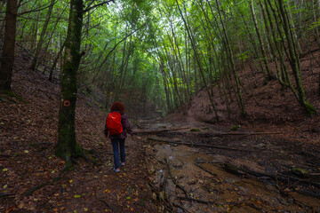 Obraz premium Woman hiking Valea Boiului trail