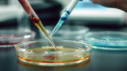 Colorful liquids being transferred into petri dishes in a lab setting