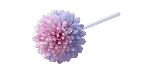 Pink and purple flower on a white stem