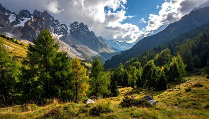 Fototapeta premium A tranquil mountain valley scene showcases a lush forest nestled between towering peaks, bathed in warm sunlight.