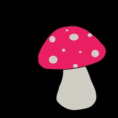 fly agaric mushroom