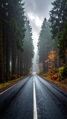 Fototapeta premium A misty forest road stretches into the distance on a wet autumn day, showcasing a serene and inviting path.