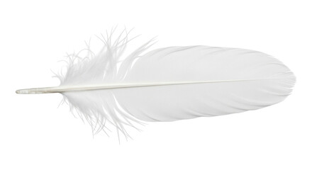 Fototapeta premium Isolated soft feather, detailed closeup of single plume, delicate texture and light touch
