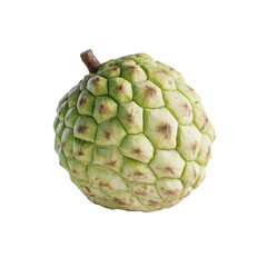 Fototapeta premium Single Cherimoya Fruit Isolated on White Background