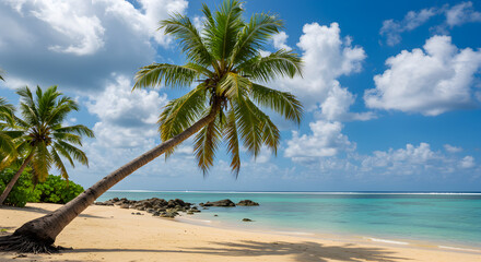 Obraz premium Tropical Beach Paradise with White Sand Turquoise Water Palm Trees and Blue Sky with Clouds in Summer Sunlight