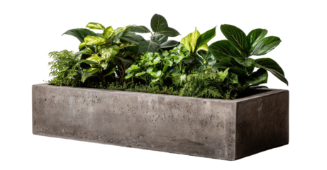 Rectangular concrete planter filled with various greenery