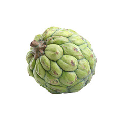 Fototapeta premium Single Fresh Cherimoya Fruit Isolated on White Background