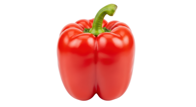 Isolated glossy red bell pepper with curled green stem and smooth skin, garden harvest