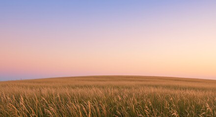 Serene golden grass field under a soft pastel sky at sunset