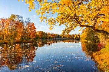 Autumn foliage in Catherine park, Pushkin (Tsarskoe Selo), Saint Petersburg, Russia