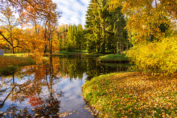 Autumn foliage in Catherine park, Pushkin (Tsarskoe Selo), Saint Petersburg, Russia