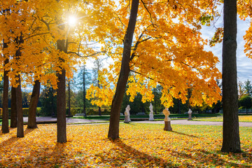Catherine park in autumn, Tsarskoe Selo (Pushkin), Saint Petersburg, Russia