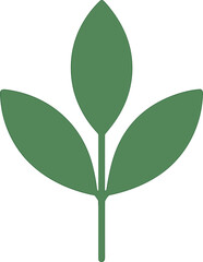 Simple Flat Green Leaf Branch Icon Graphic Illustration Isolated