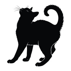 Graceful Black Cat Silhouette: A sleek black cat stands gracefully, its form a stunning silhouette against the backdrop. This minimalist image embodies the elegance of felines.
