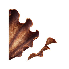 Abstract Brown Leaf Fragments on Black Background Nature's Texture