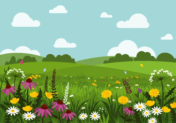 Fototapeta premium A vibrant meadow filled with wildflowers in full bloom, set against a backdrop of rolling green hills and a bright blue sky dotted with fluffy white clouds.