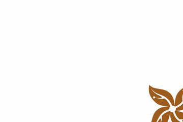 autumn leaves background