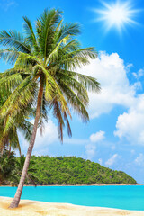 Sea beach, paradise tropical island, beautiful nature landscape, turquoise ocean water, green coconut palm tree leaves, yellow sand, sun blue sky white cloud, summer holidays, vacation, travel banner