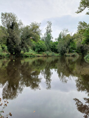 Pond View with Cloudy Sky