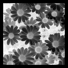 Shawl Scarf Pattern Graphic Design
