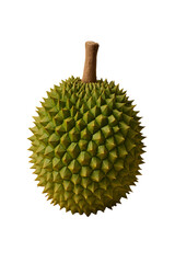 Durian isolated on background. 