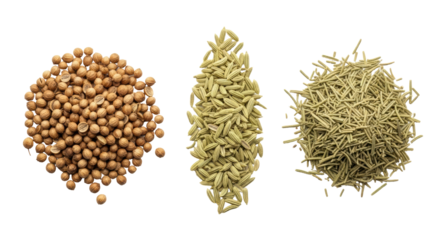 Isolated spices for cooking include coriander seeds, fennel seeds, and dried rosemary