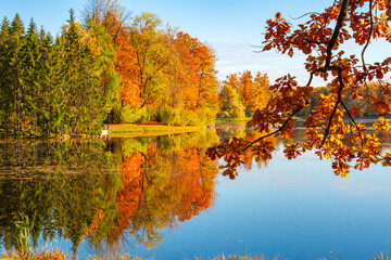 Grand pond of Catherine park in autumn, Tsarskoe Selo (Pushkin), Saint Petersburg, Russia