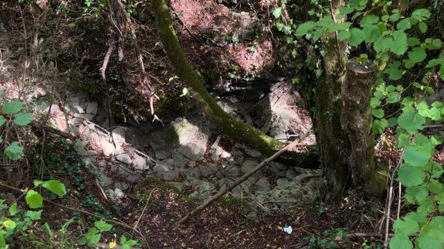 The bed of a dried-up water stream. In the Rhodope Mountains, near the Bachkovo Monastery. Seasonal drought. Lack of water. Weather. Bulgaria.