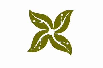 green leaf isolated on white background