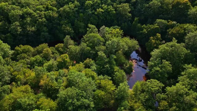 Dense green Gu&eacute; giraud forest canopy with a small river flowing through the middle from above, Saint-Junien, Haute-Vienne, France.