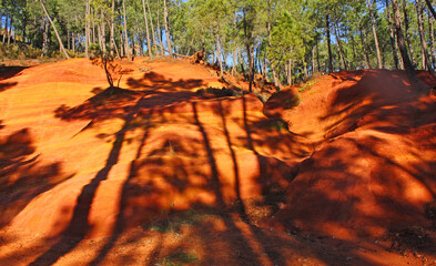 Le soleil dans les ocres et les pins