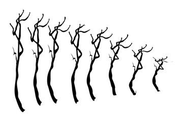 twigs branch of tree vector illustration
