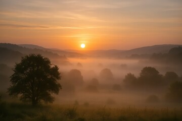 Obraz premium Golden sunrise over misty valley with silhouetted trees and rolling hills