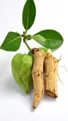 Close-up of dried ginseng root and leaves