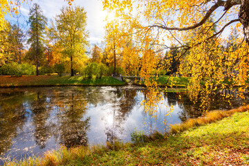 Catherine park in autumn foliage, Tsarskoe Selo (Pushkin), Saint Petersburg, Russia
