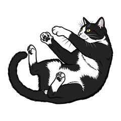 Playful Tuxedo Cat: A delightful illustration capturing a sleek black and white cat in a playful pose, its paws reaching out in an adorable display of feline charm.
