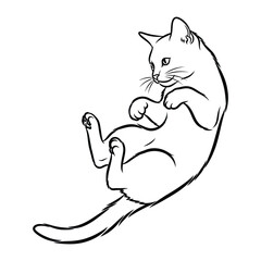 Playful Cat Illustration: A charming line art illustration of a cat, playfully sprawled on its back with delicate paws and whiskers, a simple and artistic depiction.