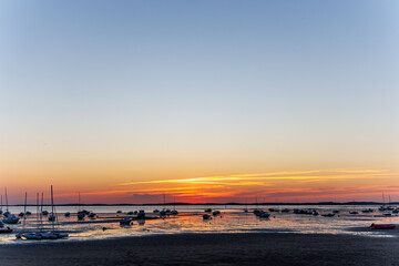 French castle surrounded by vineyards in Blaye, Nouvelle-Aquitaine