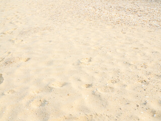 Nature travel background, sand beach close up texture summer desert zen garden coast ocean for...