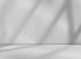 Grey wall shadow background kitchen floor white abstract studio concrete table white texture light texture mockup product marble room display plant cement minimal shelft bar leaves backdrop