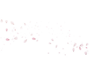 Cherry Blossom Petals Flowing Horizontally Vector Background