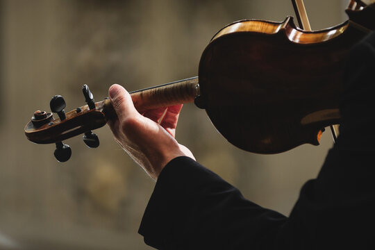 Unrecognizable violin player performing in orchestra ensemble