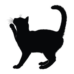 Black Cat Silhouette: A sleek silhouette of a domestic cat, its form perfectly outlined against a backdrop, creating a striking image.